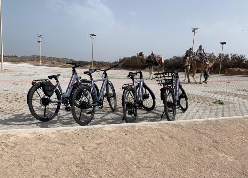 Demi journée vélos électriques à Essaouira